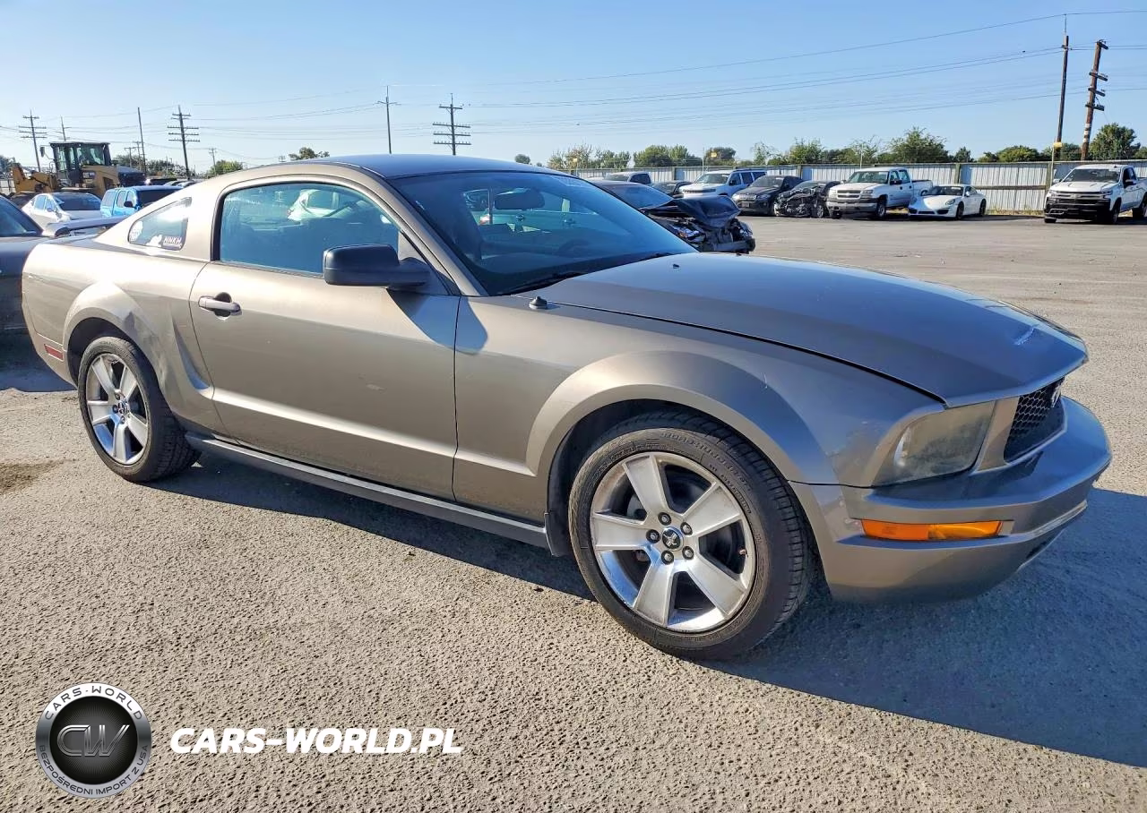 2005 Ford Mustang VIN:1ZVFT80N655188297 - 4