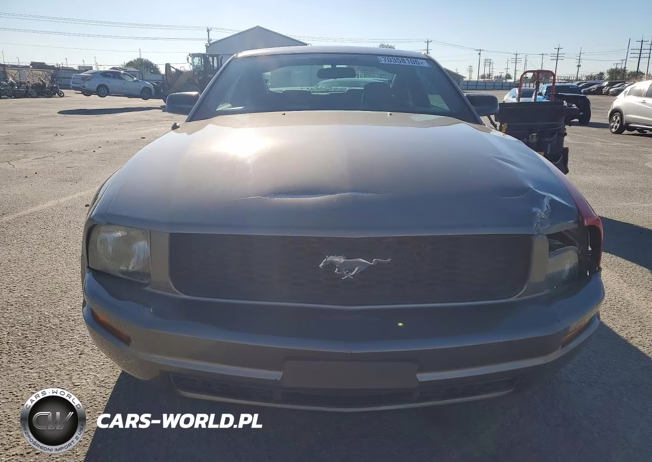 2005 Ford Mustang VIN:1ZVFT80N655188297 - 5