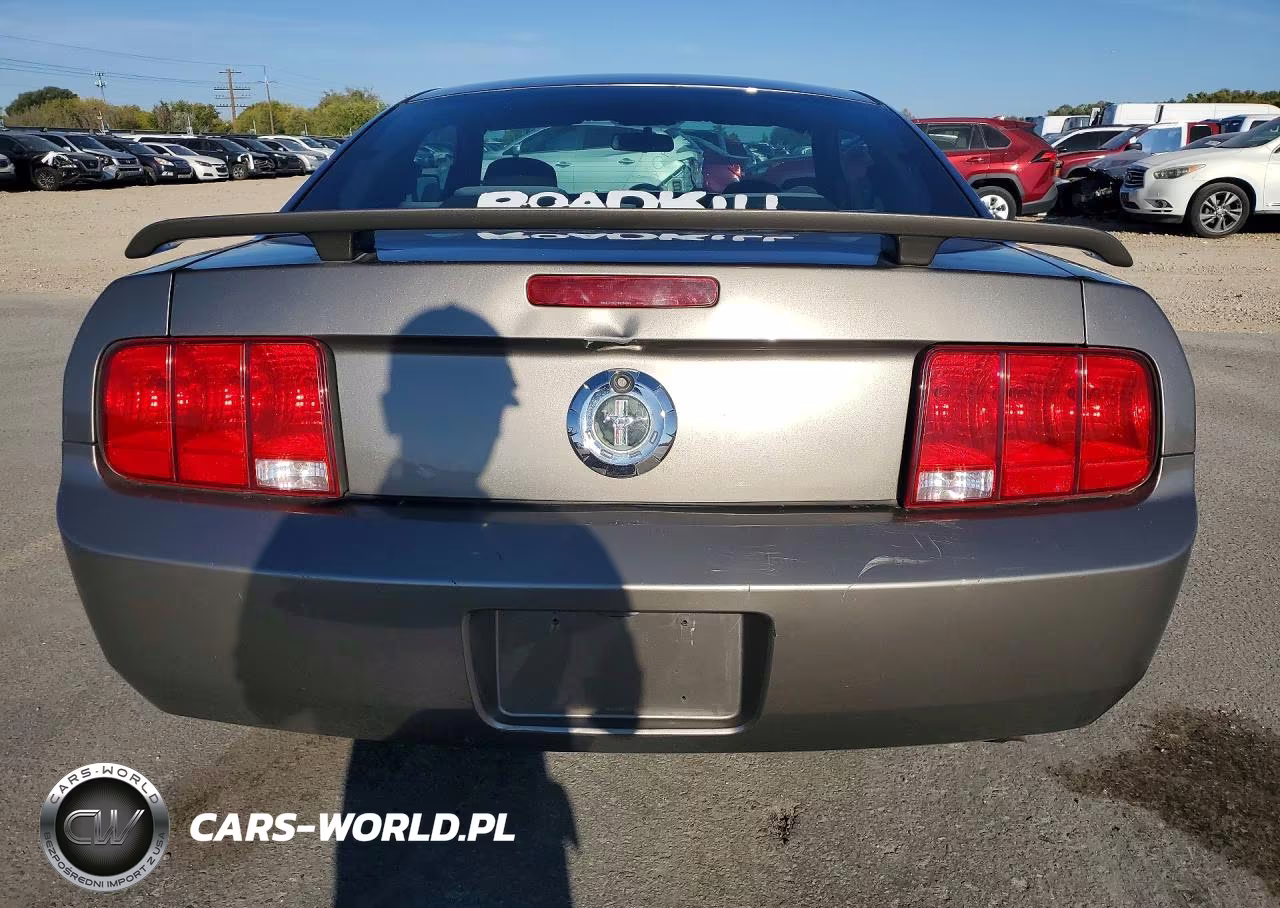2005 Ford Mustang VIN:1ZVFT80N655188297 - 6