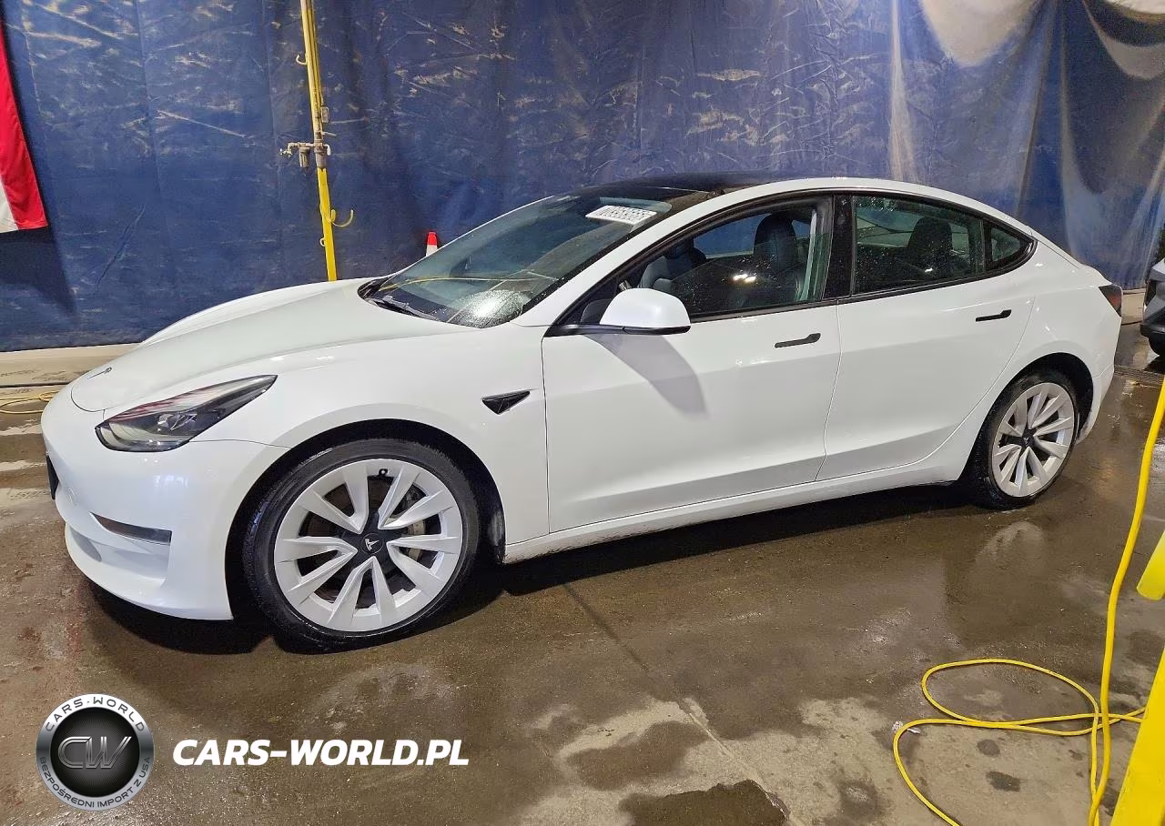 2023 Tesla Model 3 VIN:5YJ3E1EA0PF450782 - 1