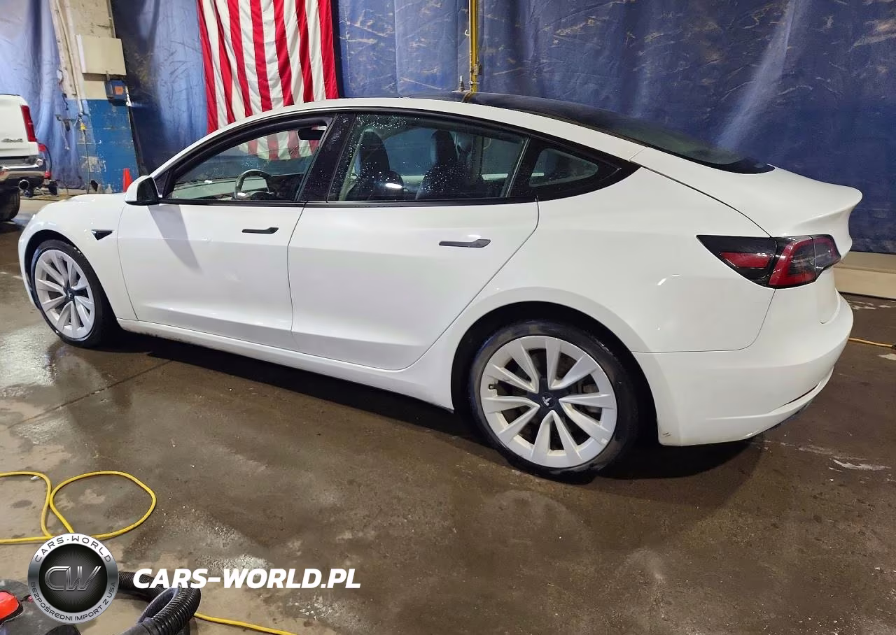 2023 Tesla Model 3 VIN:5YJ3E1EA0PF450782 - 2