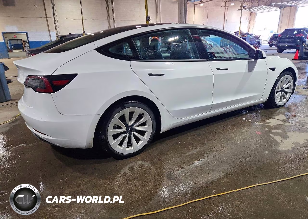 2023 Tesla Model 3 VIN:5YJ3E1EA0PF450782 - 3