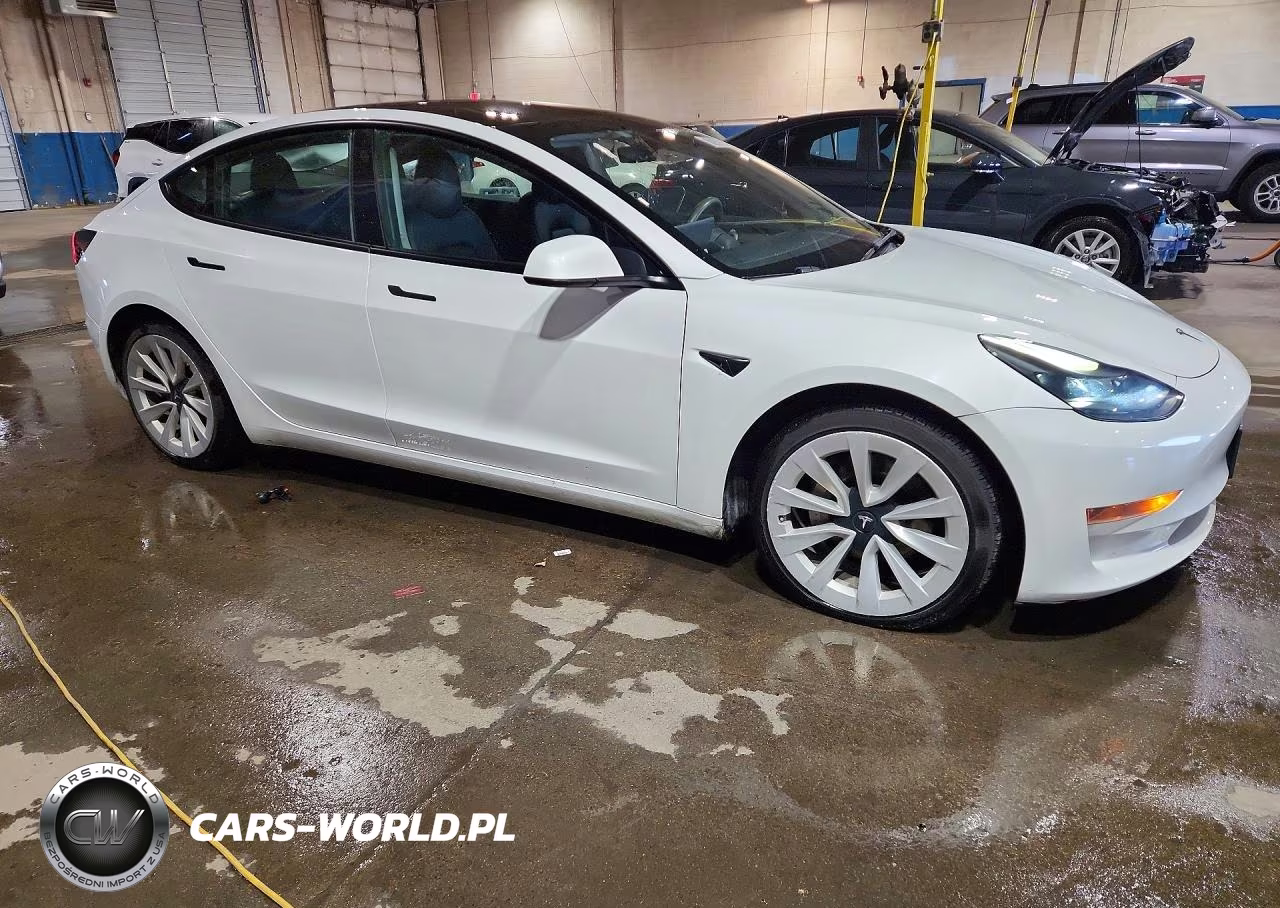 2023 Tesla Model 3 VIN:5YJ3E1EA0PF450782 - 4