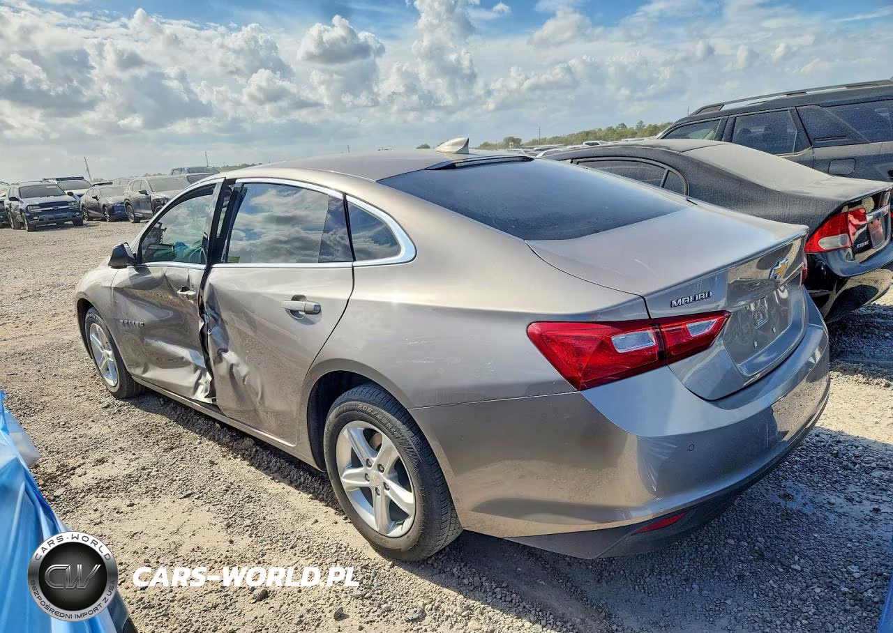 2024 Chevrolet Malibu Lt VIN:1G1ZD5ST4RF203377 - 2