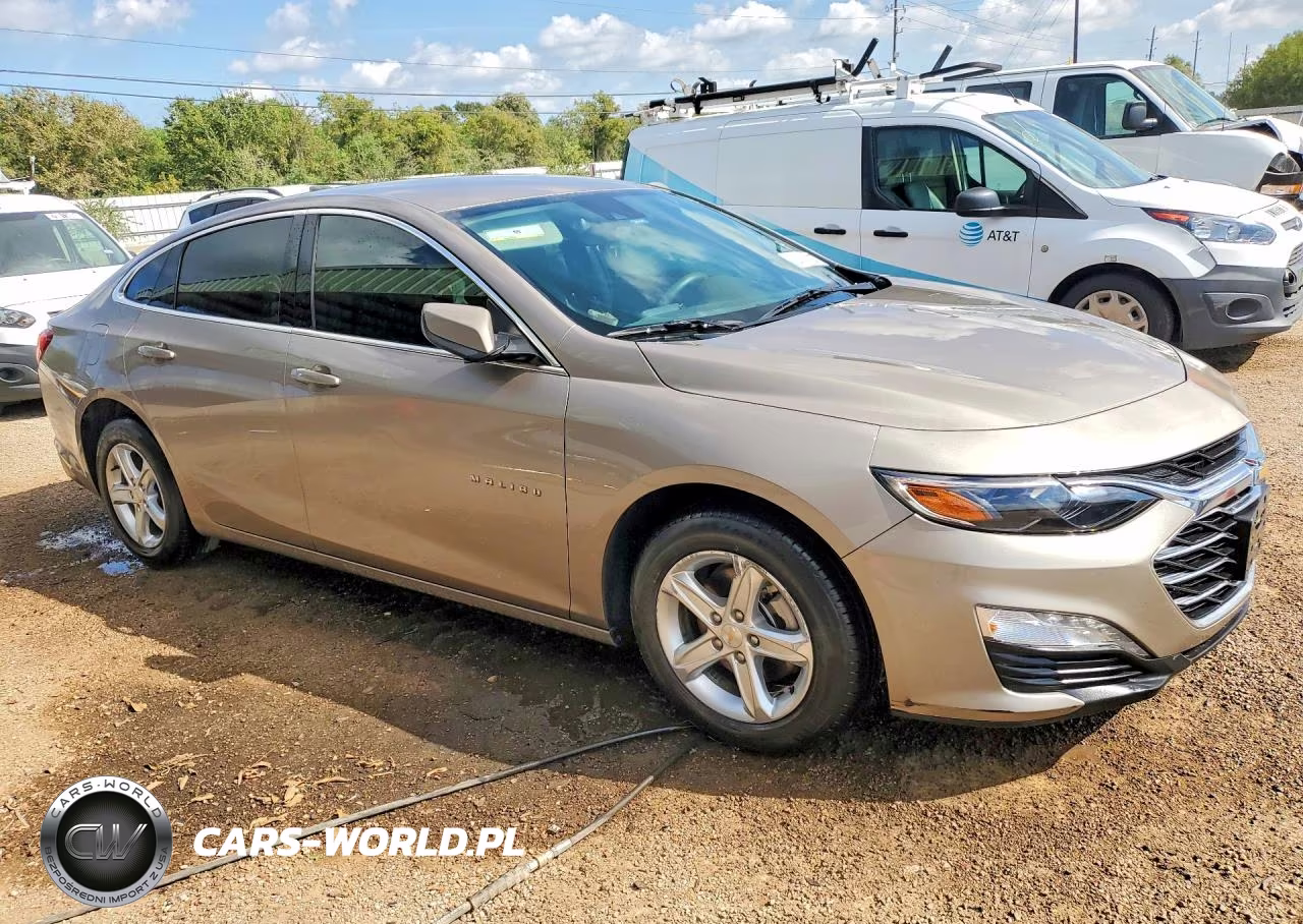2024 Chevrolet Malibu Lt VIN:1G1ZD5ST4RF203377 - 4