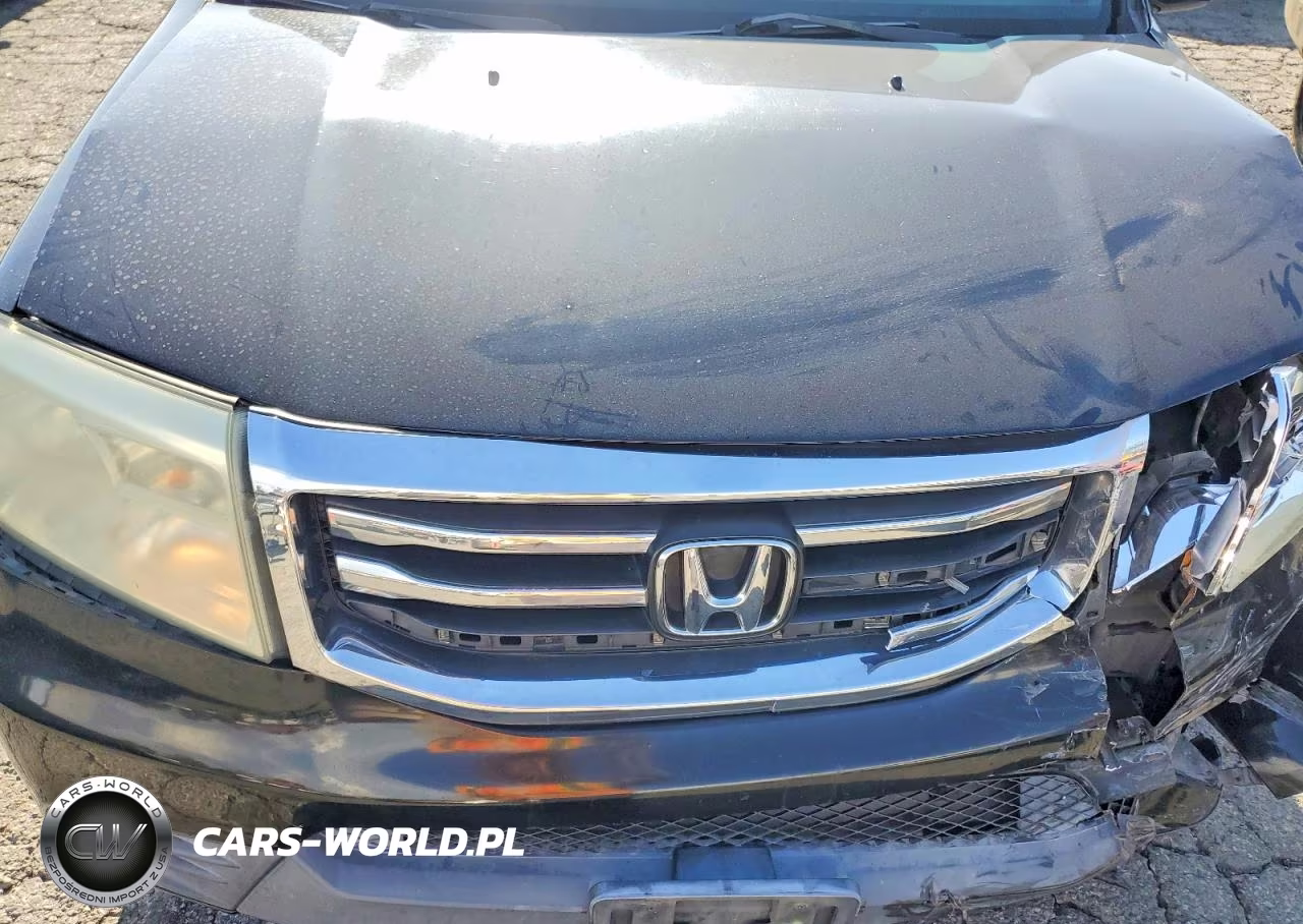 2013 Honda Pilot Ex VIN:5FNYF3H43DB015674 - 12