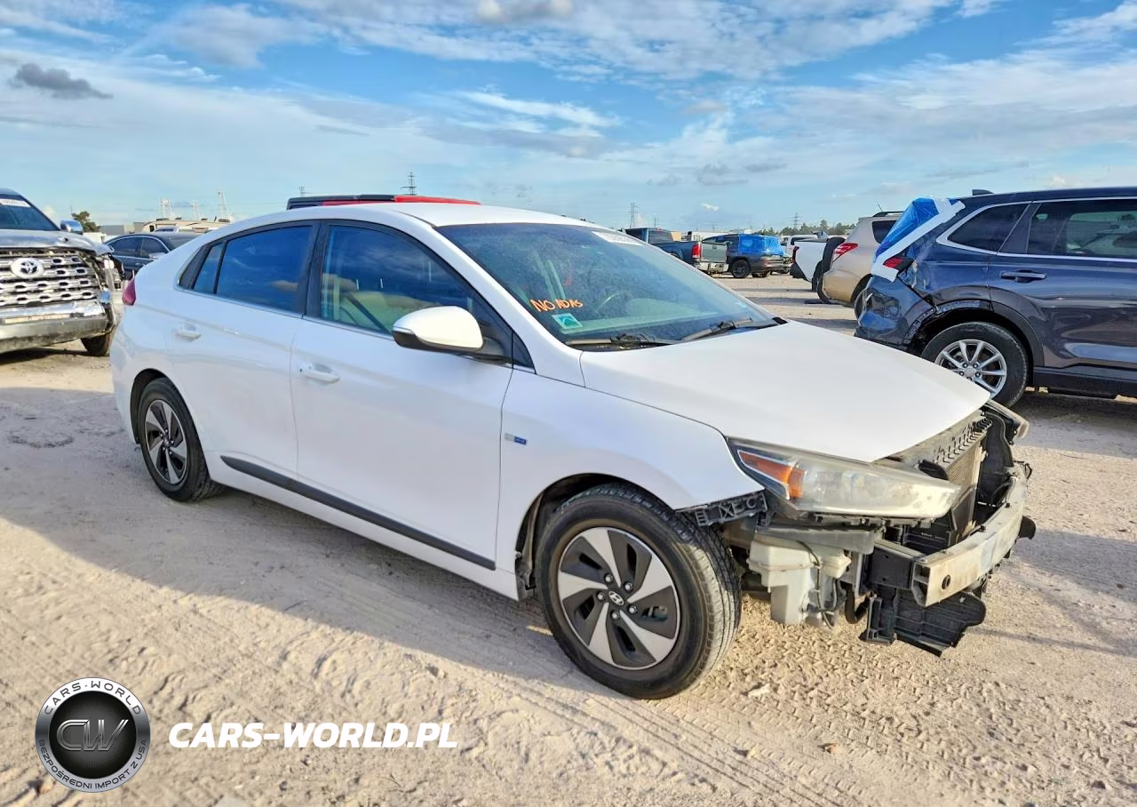 2018 Hyundai Ioniq Sel VIN:KMHC75LC7JU065042 - 4