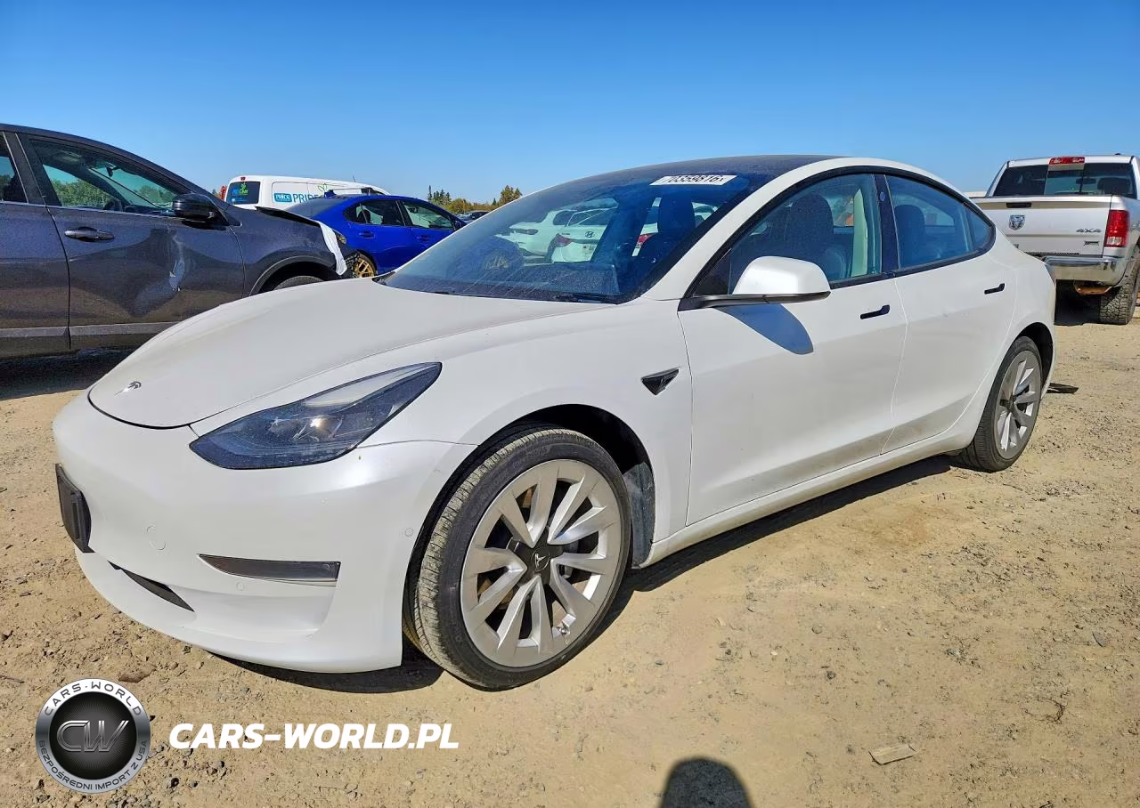 2021 Tesla Model 3 VIN:5YJ3E1EB7MF010157 - 1