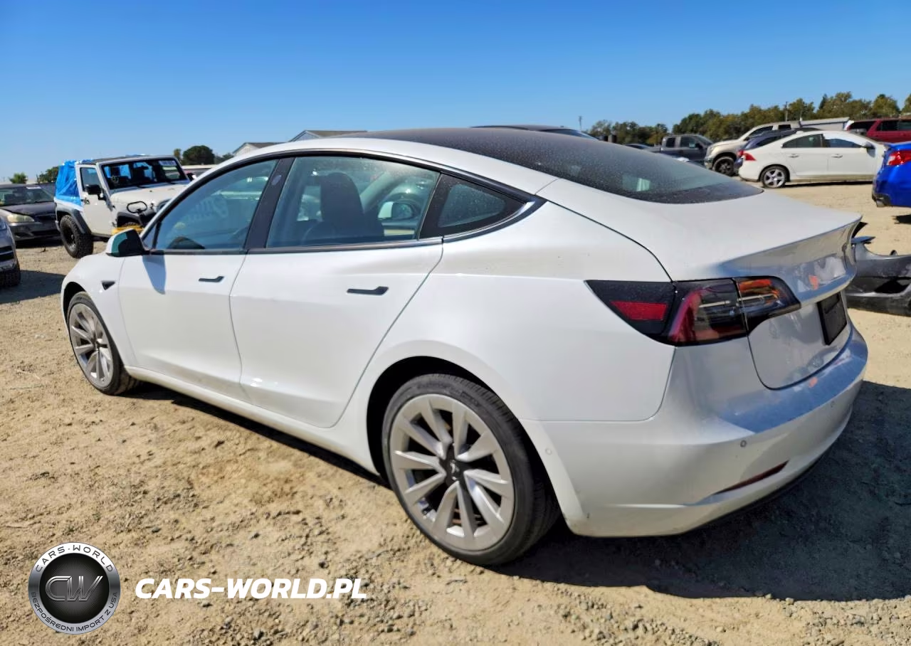 2021 Tesla Model 3 VIN:5YJ3E1EB7MF010157 - 2