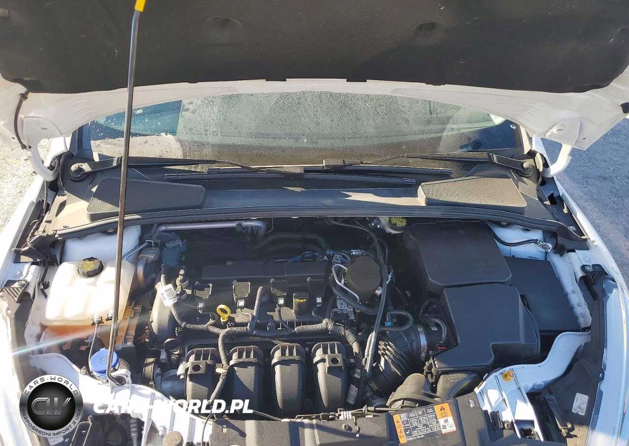 2015 Ford Focus Se VIN:1FADP3F24FL341633 - 11