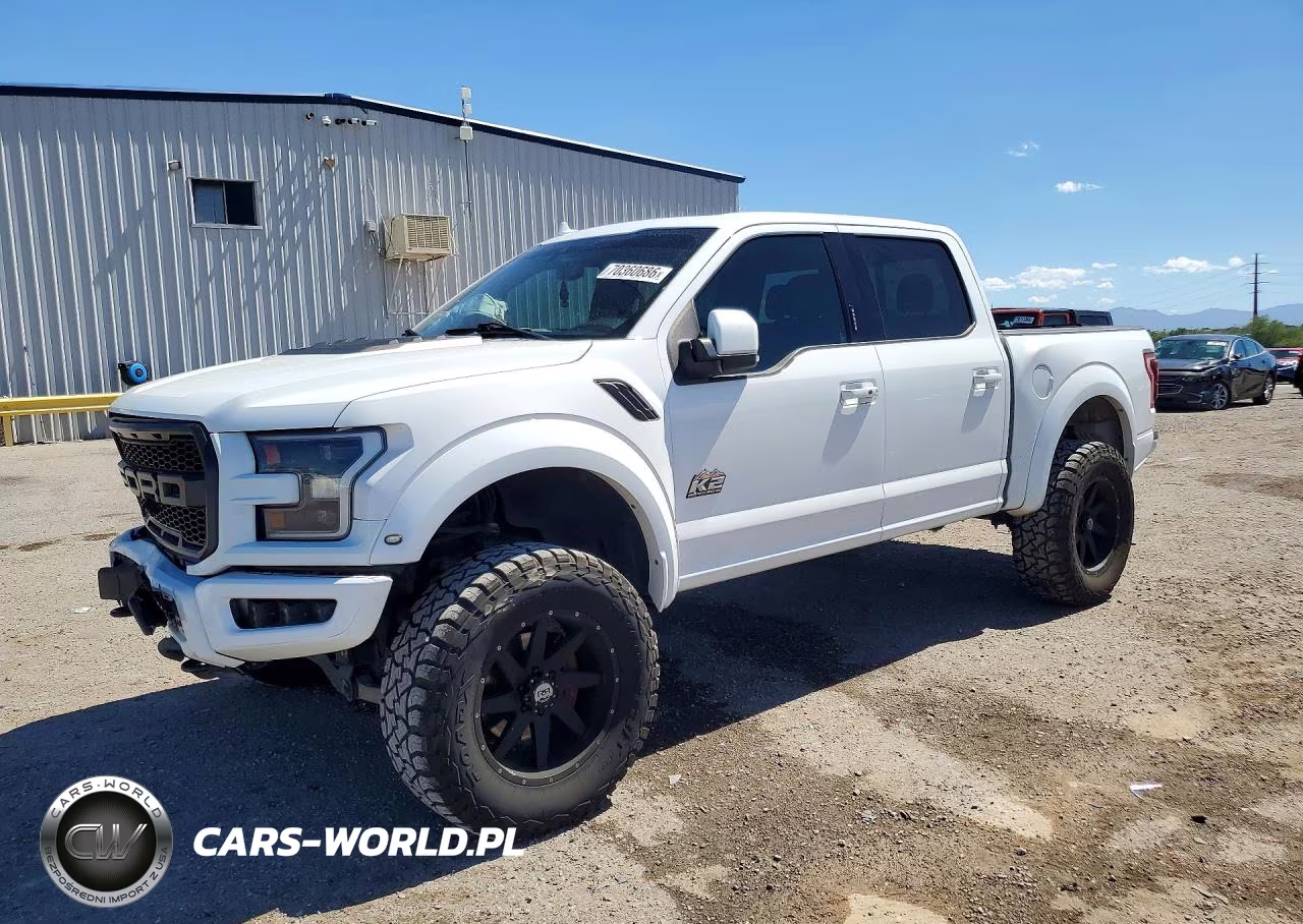 2019 Ford F150 Raptor