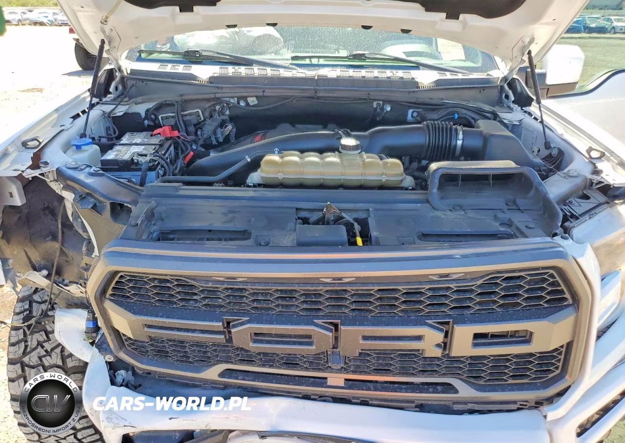 2019 Ford F150 Raptor VIN:1FTFW1RG4KFC63283 - 11