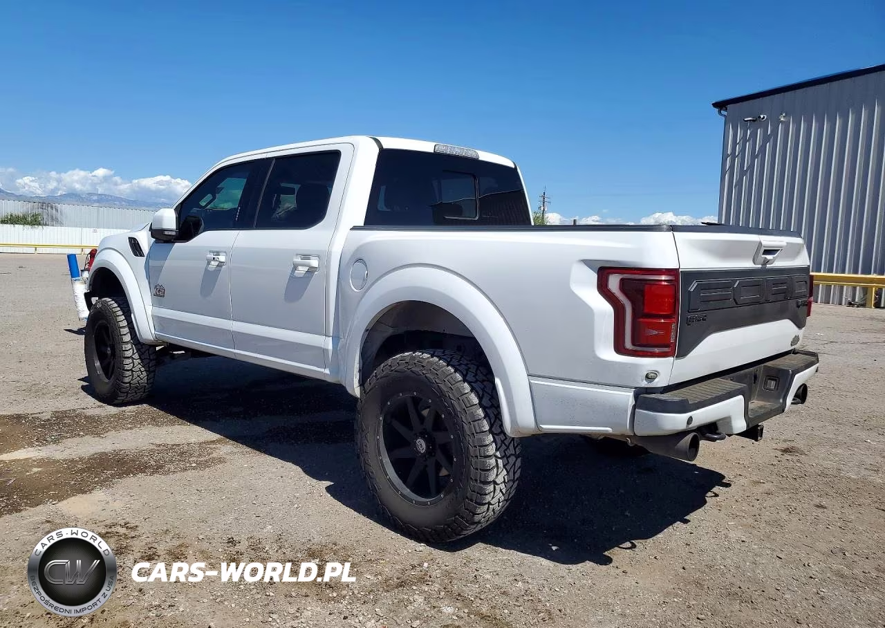 2019 Ford F150 Raptor VIN:1FTFW1RG4KFC63283 - 2