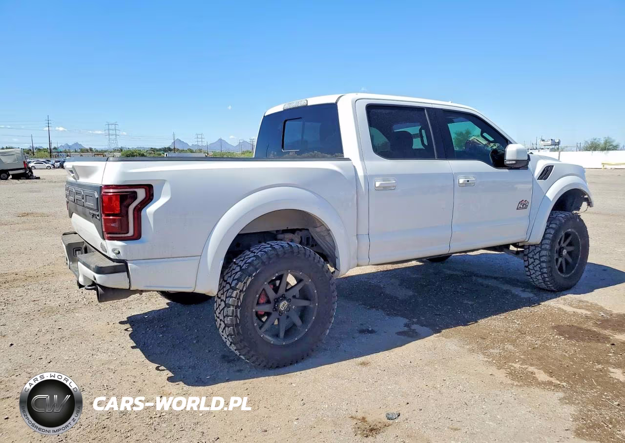 2019 Ford F150 Raptor VIN:1FTFW1RG4KFC63283 - 3