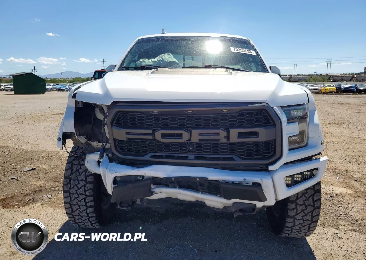 2019 Ford F150 Raptor VIN:1FTFW1RG4KFC63283 - 5