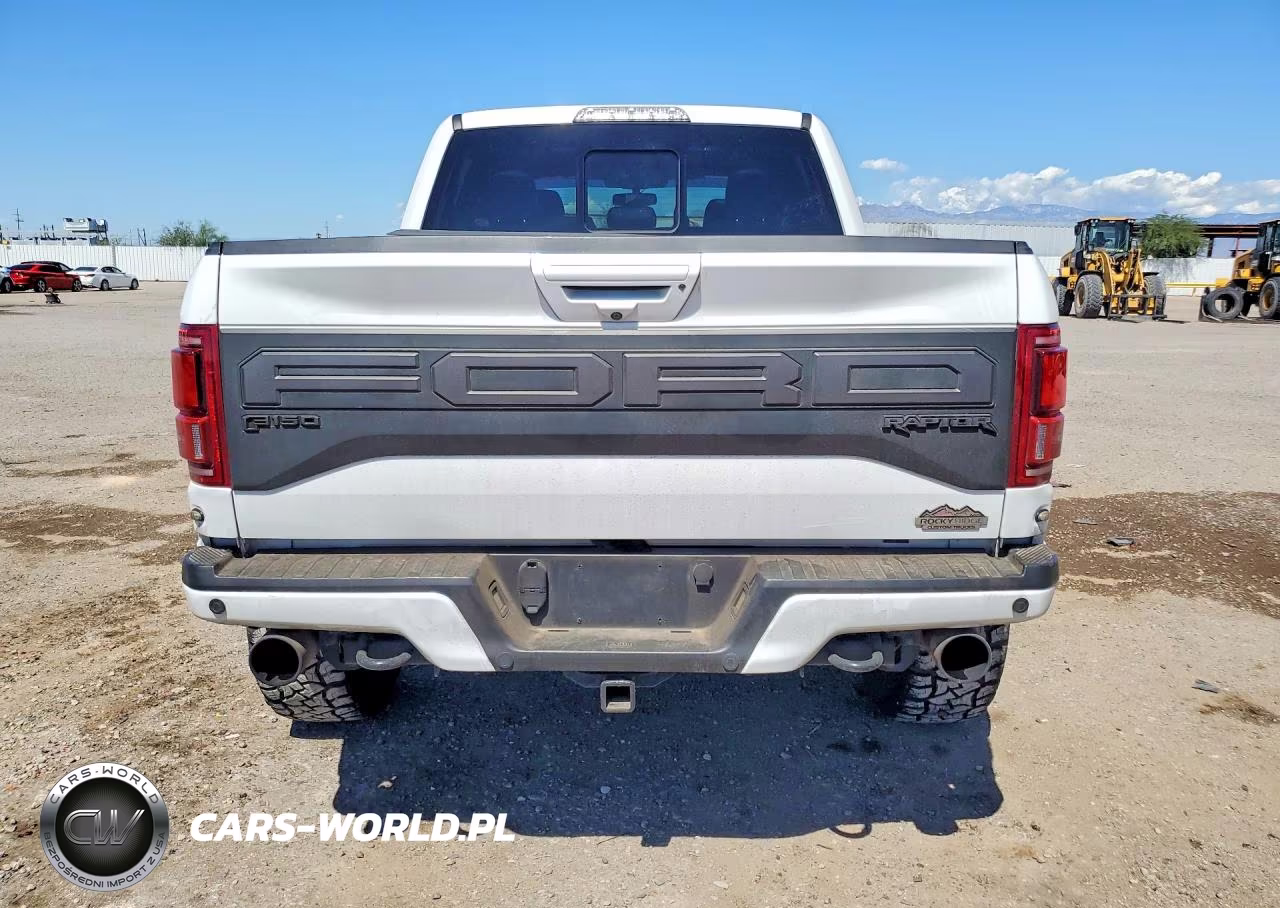 2019 Ford F150 Raptor VIN:1FTFW1RG4KFC63283 - 6