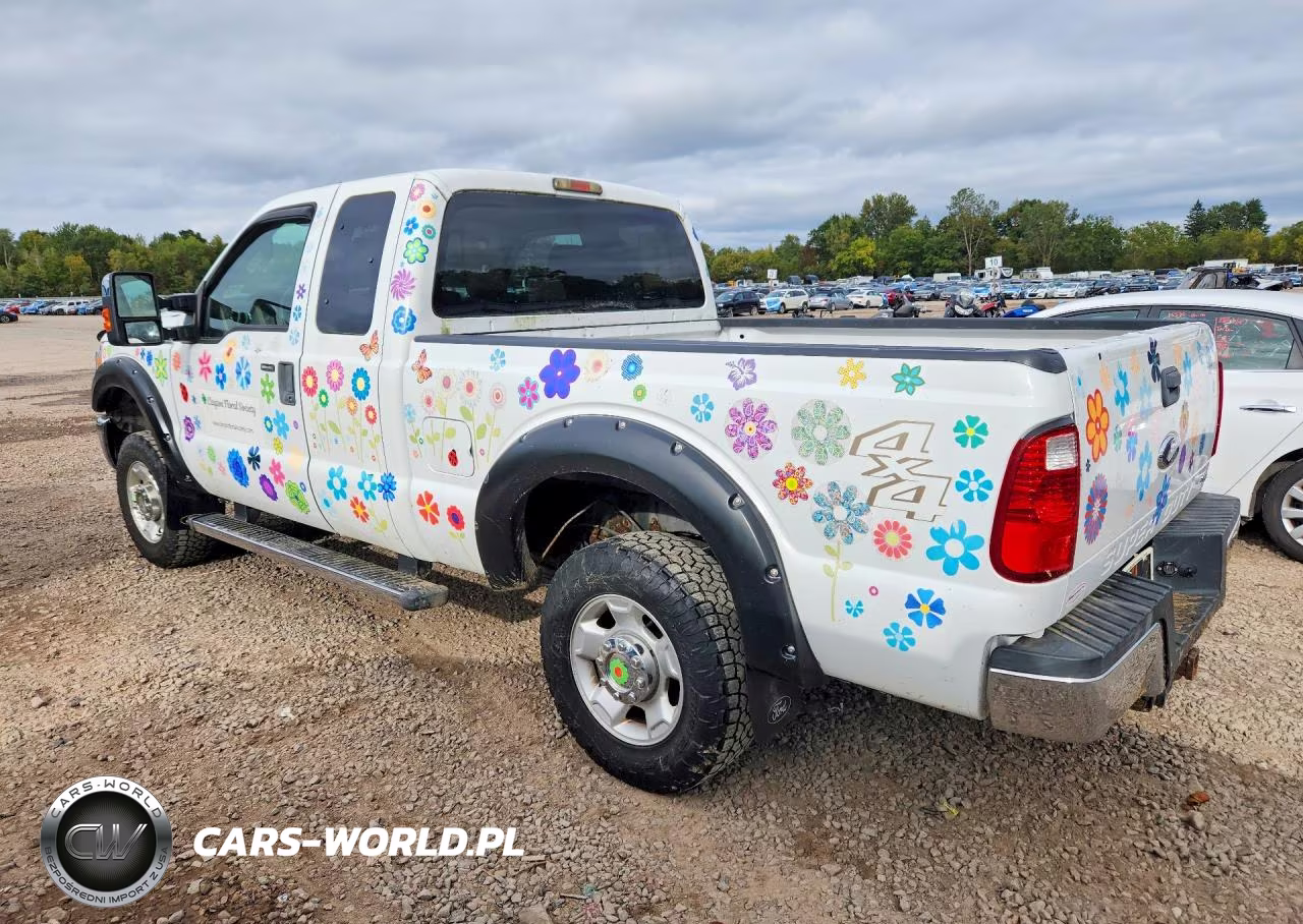 2011 Ford F250 Super Duty VIN:1FT7X2B62BEA33675 - 2