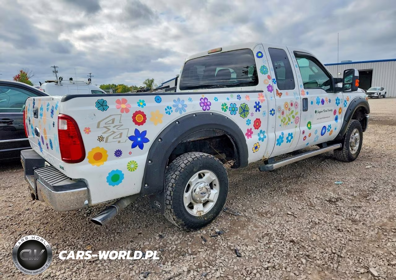 2011 Ford F250 Super Duty VIN:1FT7X2B62BEA33675 - 3