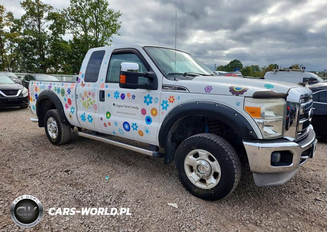 2011 Ford F250 Super Duty VIN:1FT7X2B62BEA33675 - 4