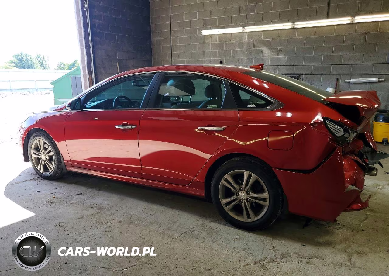 2019 Hyundai Sonata Sel VIN:5NPE34AF1KH807835 - 2