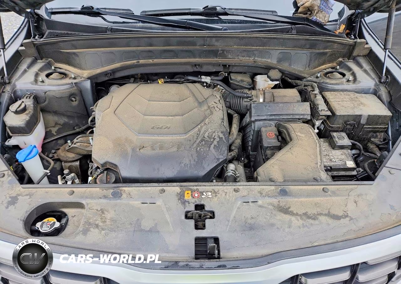2023 Kia Telluride Sx VIN:5XYP54GC1PG368490 - 12