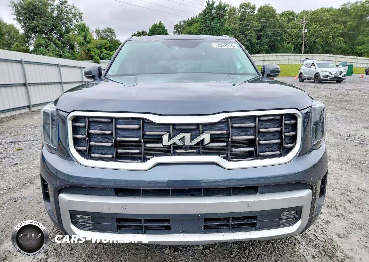 2023 Kia Telluride Sx VIN:5XYP54GC1PG368490 - 5