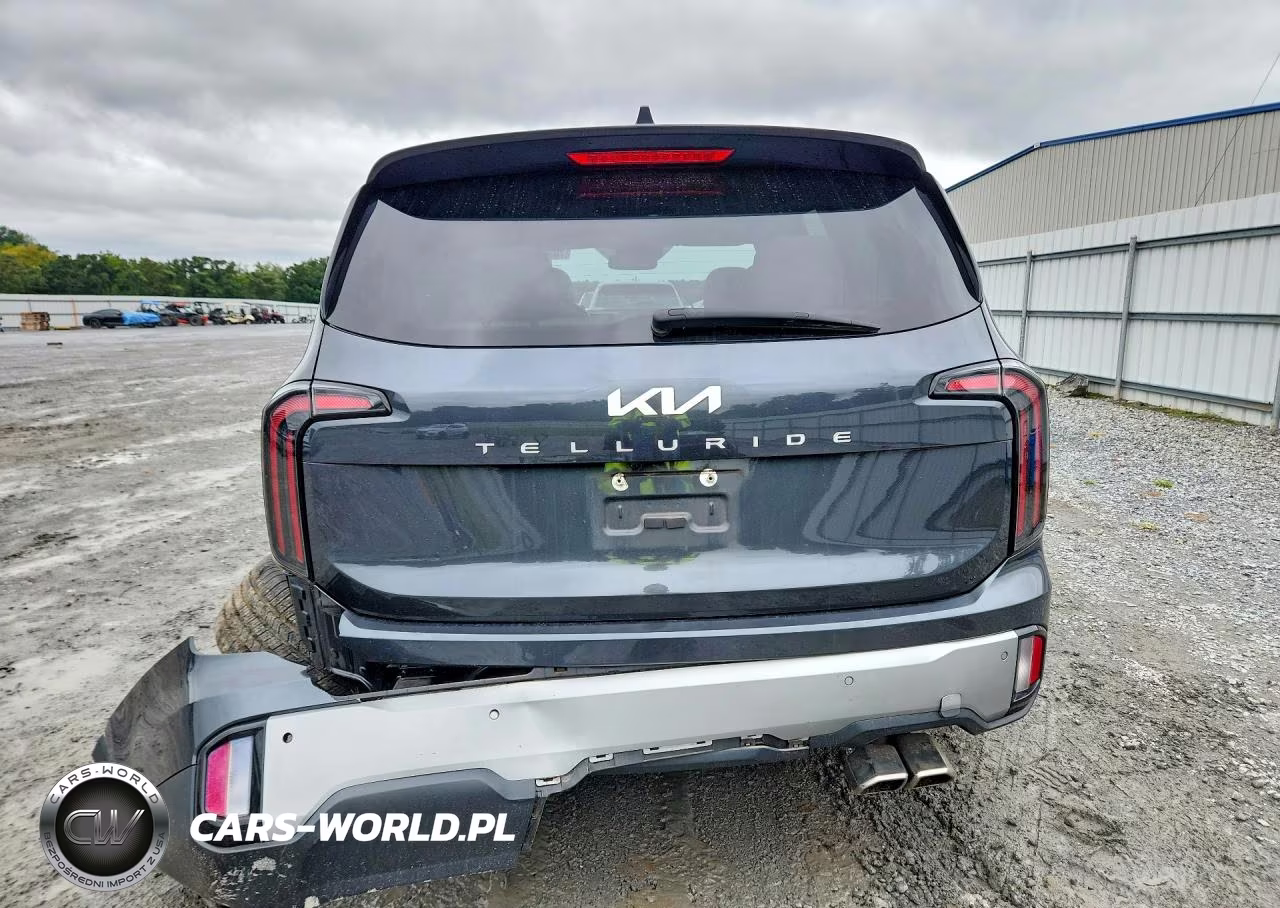 2023 Kia Telluride Sx VIN:5XYP54GC1PG368490 - 6