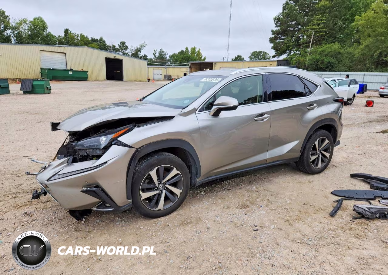 2018 Lexus Nx 300 Base VIN:JTJYARBZ9J2086220 - 1