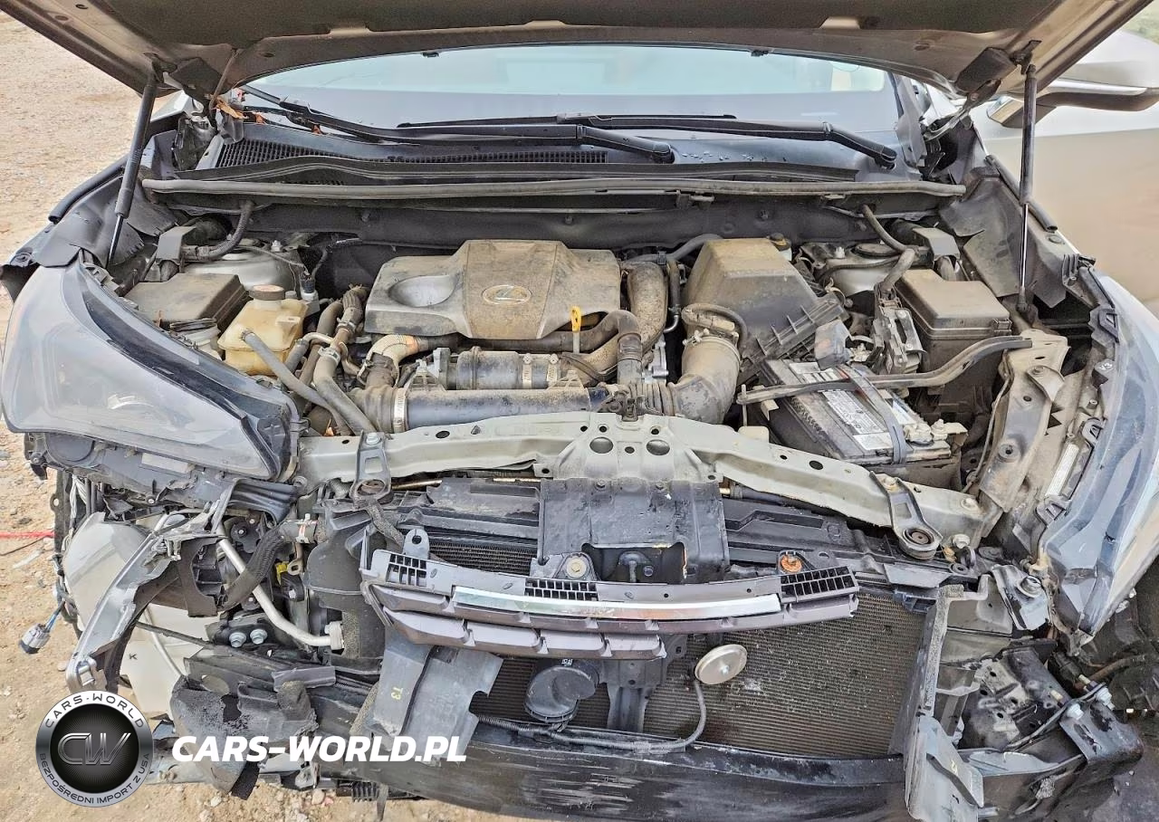 2018 Lexus Nx 300 Base VIN:JTJYARBZ9J2086220 - 12