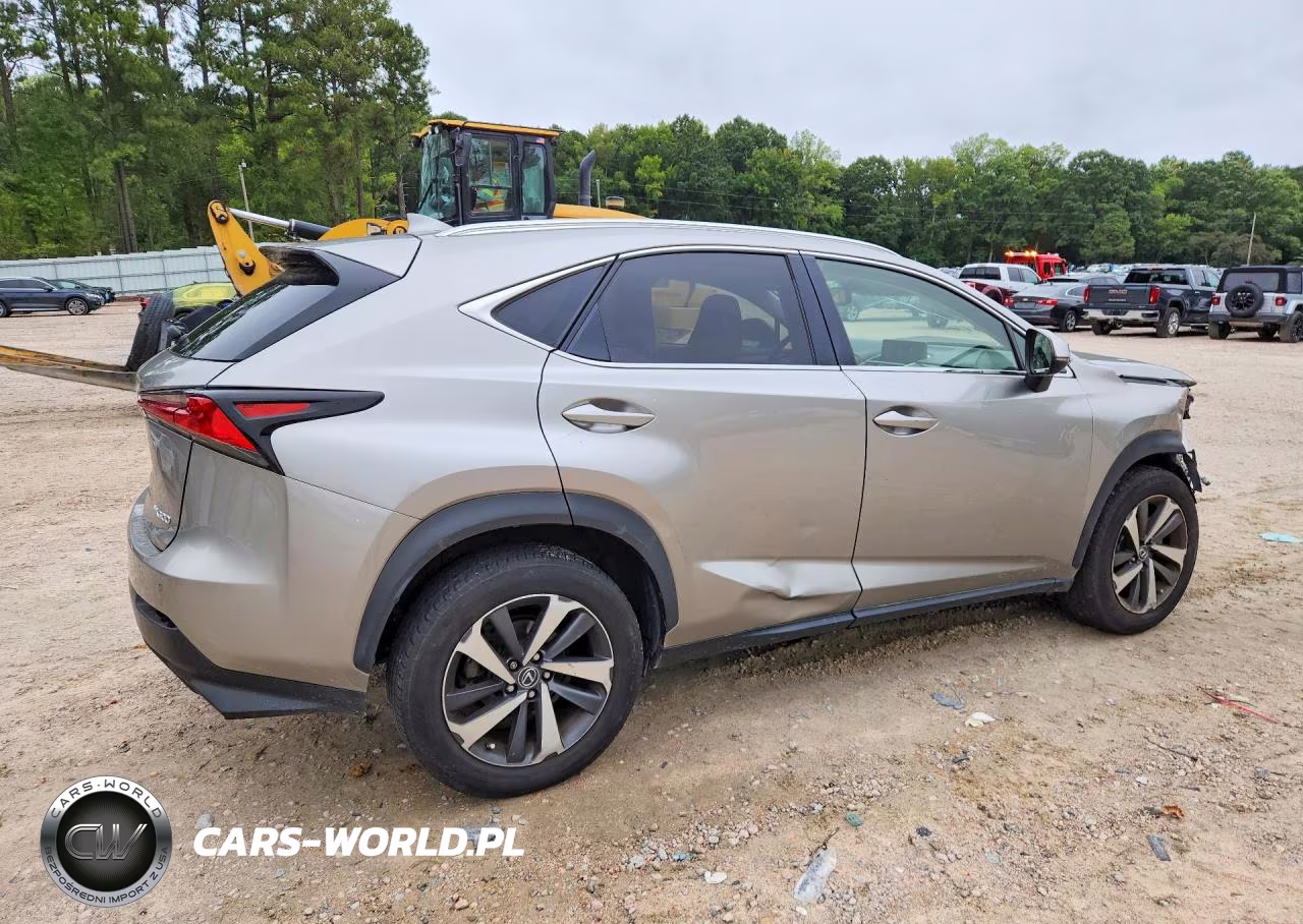 2018 Lexus Nx 300 Base VIN:JTJYARBZ9J2086220 - 3