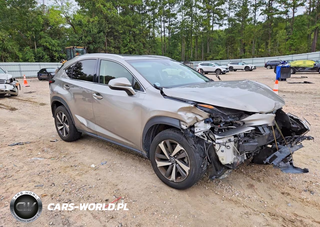 2018 Lexus Nx 300 Base VIN:JTJYARBZ9J2086220 - 4