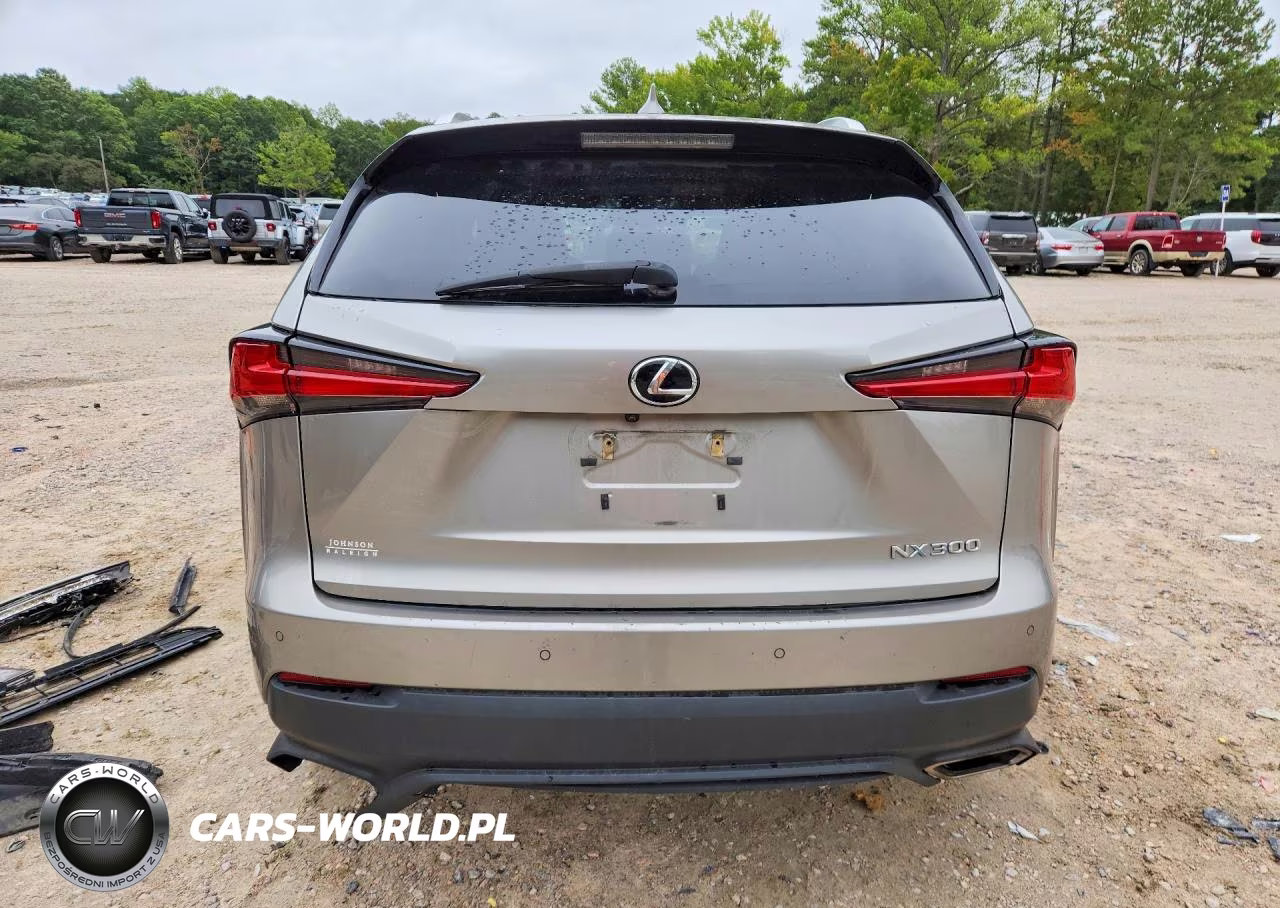 2018 Lexus Nx 300 Base VIN:JTJYARBZ9J2086220 - 6
