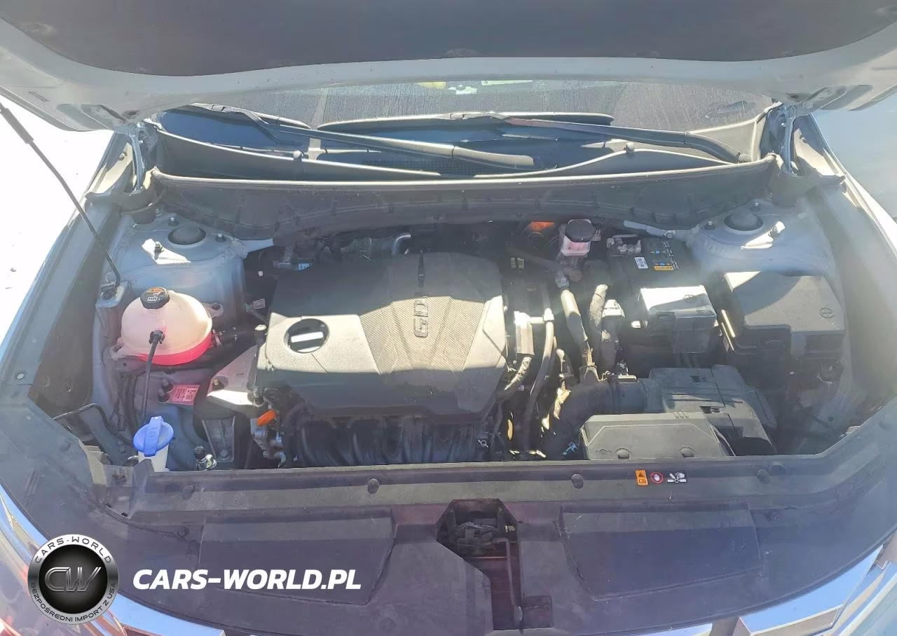 2024 Hyundai Santa Cruz Sel VIN:5NTJCDAE7RH083988 - 11