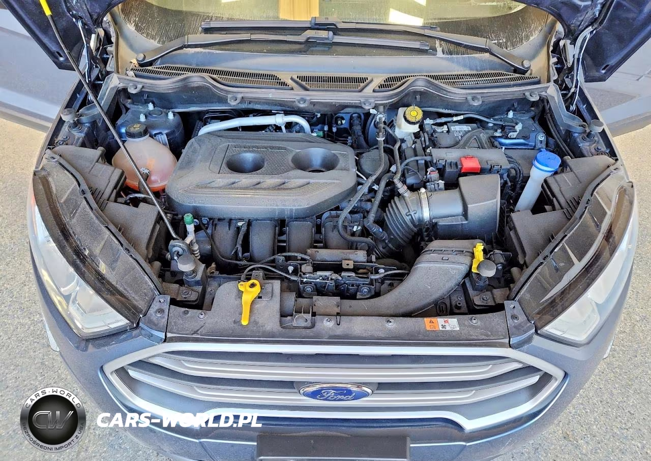 2021 Ford Ecosport Se VIN:MAJ6S3GL9MC455509 - 12