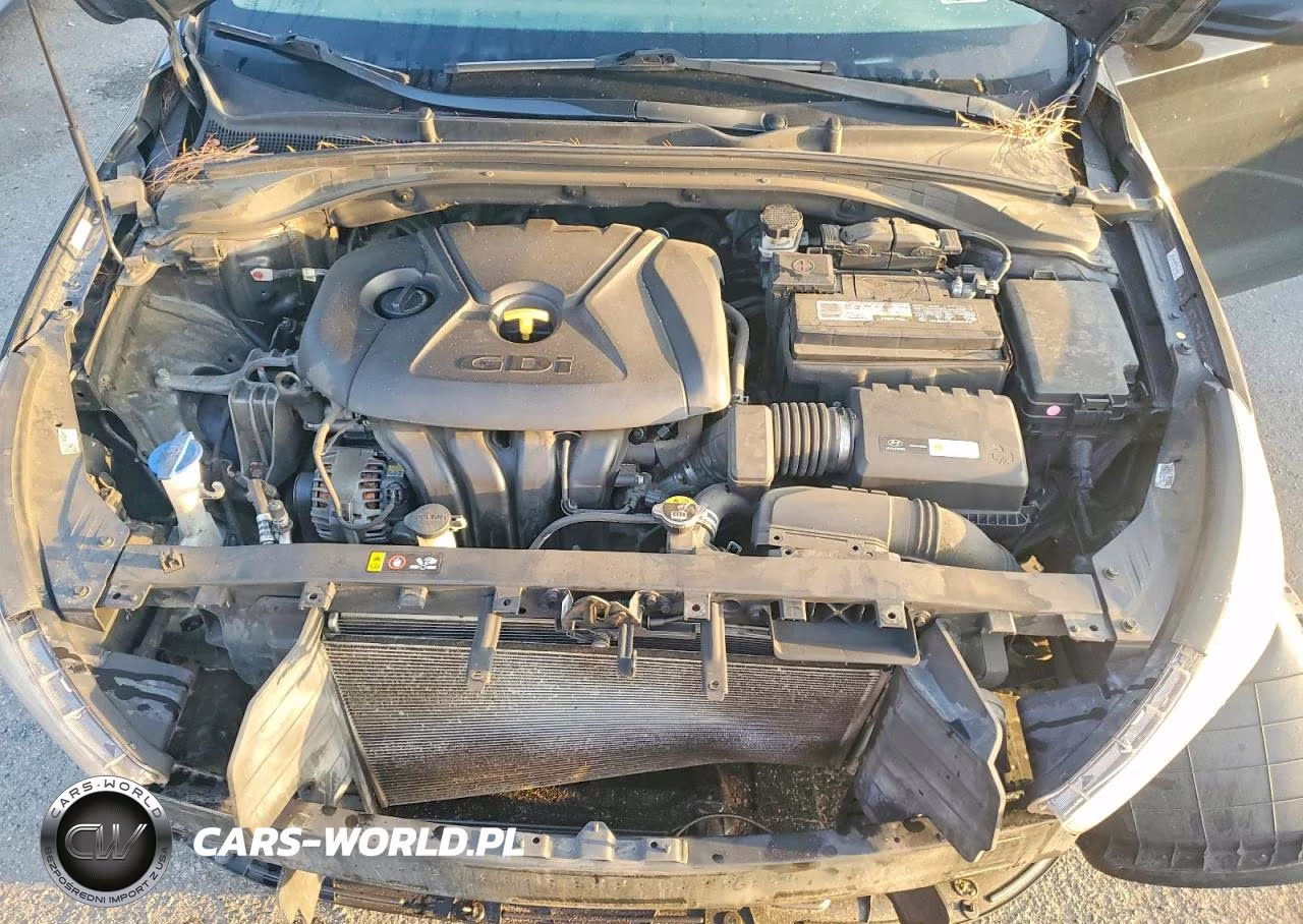 2019 Hyundai Elantra Gt Base VIN:KMHH35LE8KU099396 - 11