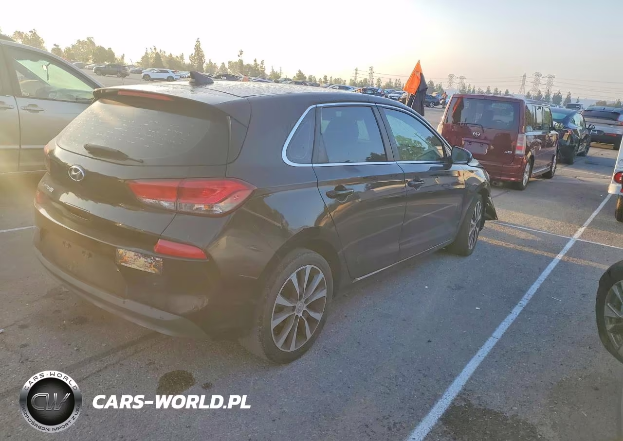 2019 Hyundai Elantra Gt Base VIN:KMHH35LE8KU099396 - 3