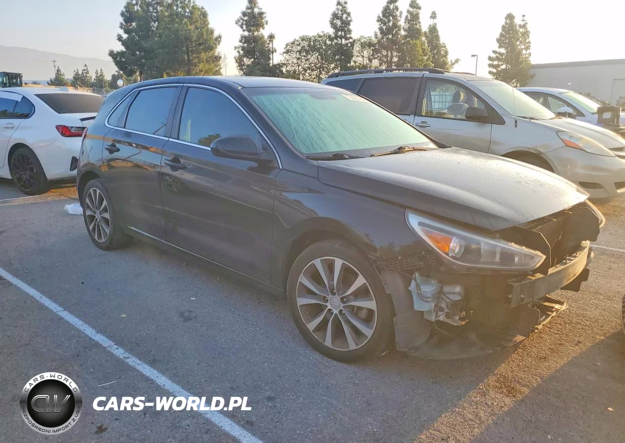 2019 Hyundai Elantra Gt Base VIN:KMHH35LE8KU099396 - 4