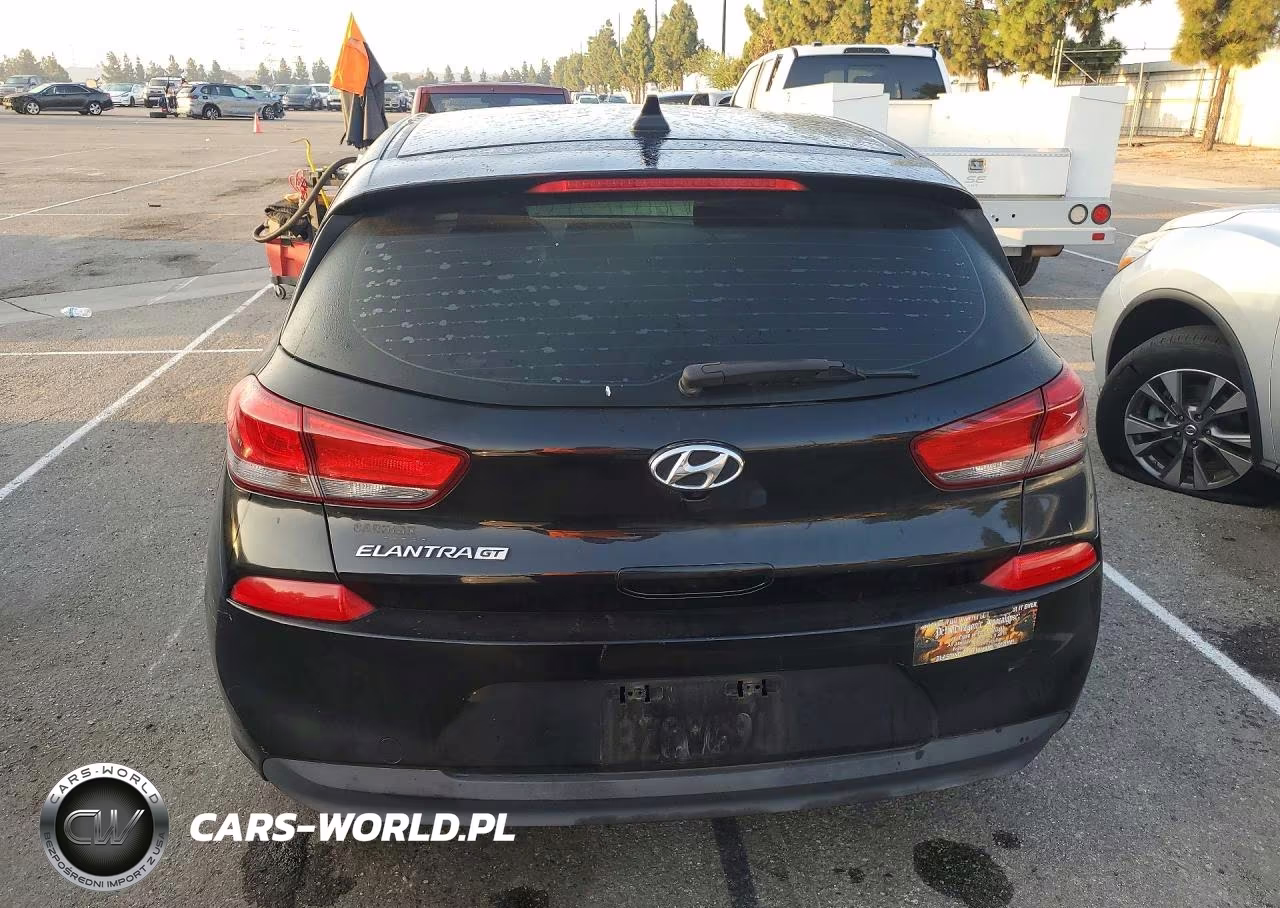 2019 Hyundai Elantra Gt Base VIN:KMHH35LE8KU099396 - 6