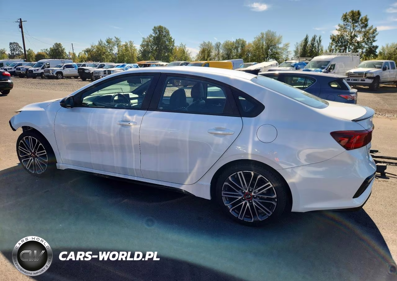 2021 Kia Forte Gt VIN:3KPF44AC1ME409362 - 2