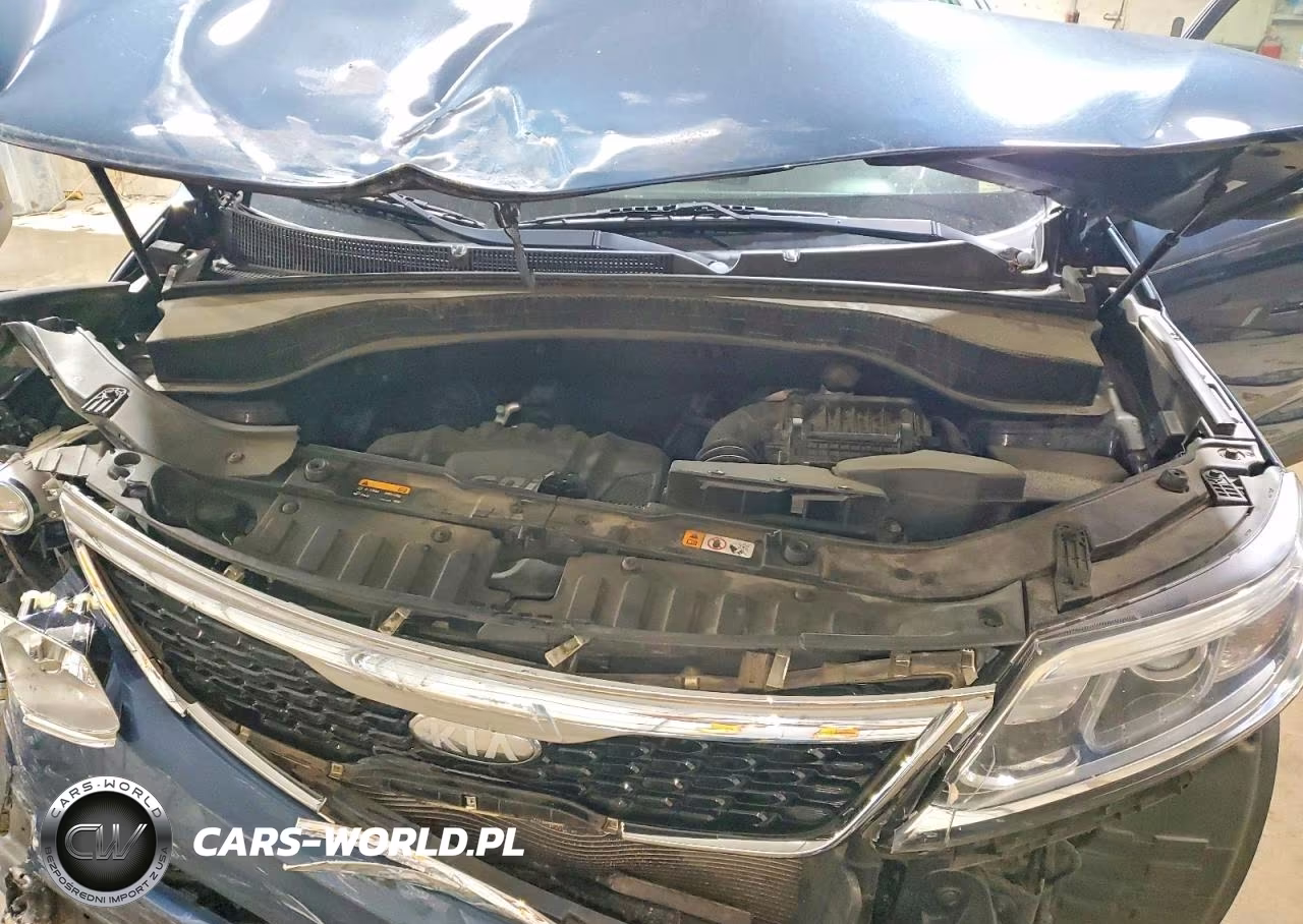 2014 Kia Sorento Lx VIN:5XYKT3A64EG459876 - 12