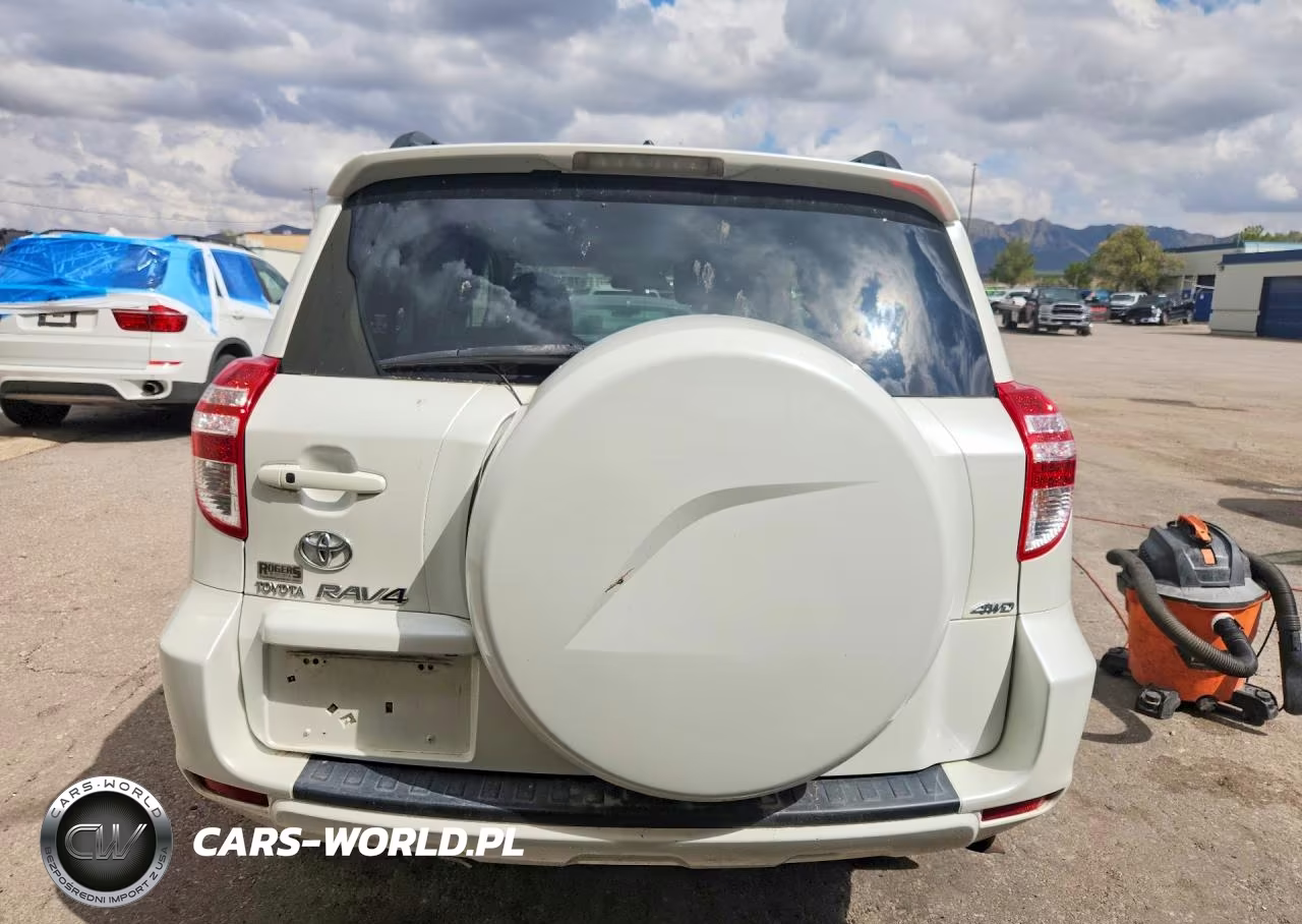 2009 Toyota Rav4 Limited VIN:JTMBK31V195079810 - 6