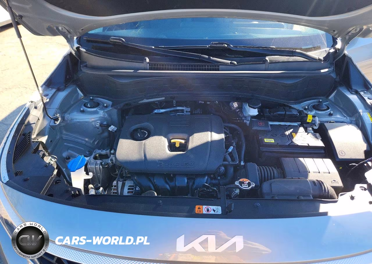 2024 Kia Seltos Lx VIN:KNDEPCAA9R7516355 - 12