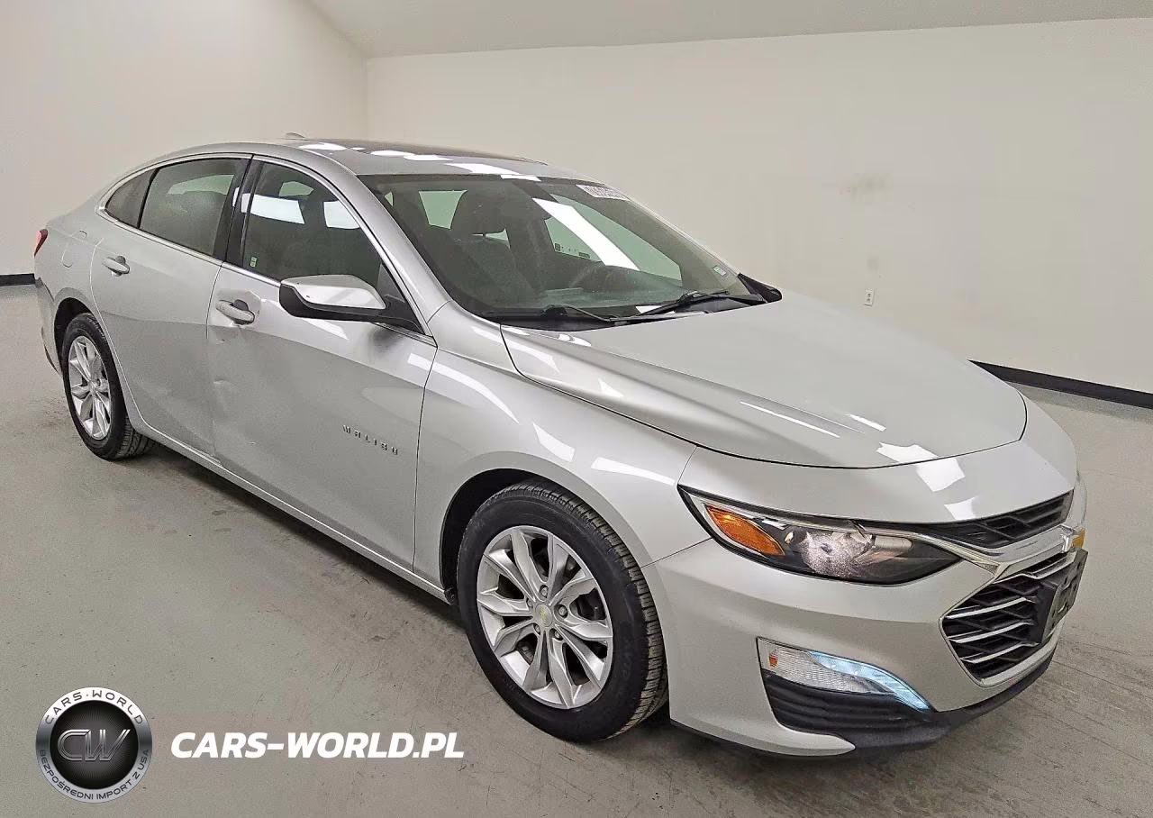 2019 Chevrolet Malibu Lt VIN:1G1ZD5ST1KF134332 - 4