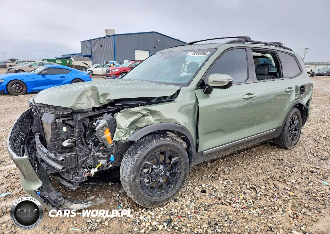 2023 Kia Telluride Sx X-Pro VIN:5XYP5DGC4PG379998 - 1