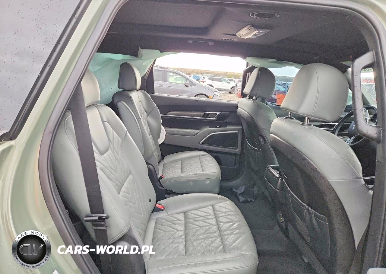 2023 Kia Telluride Sx X-Pro VIN:5XYP5DGC4PG379998 - 10