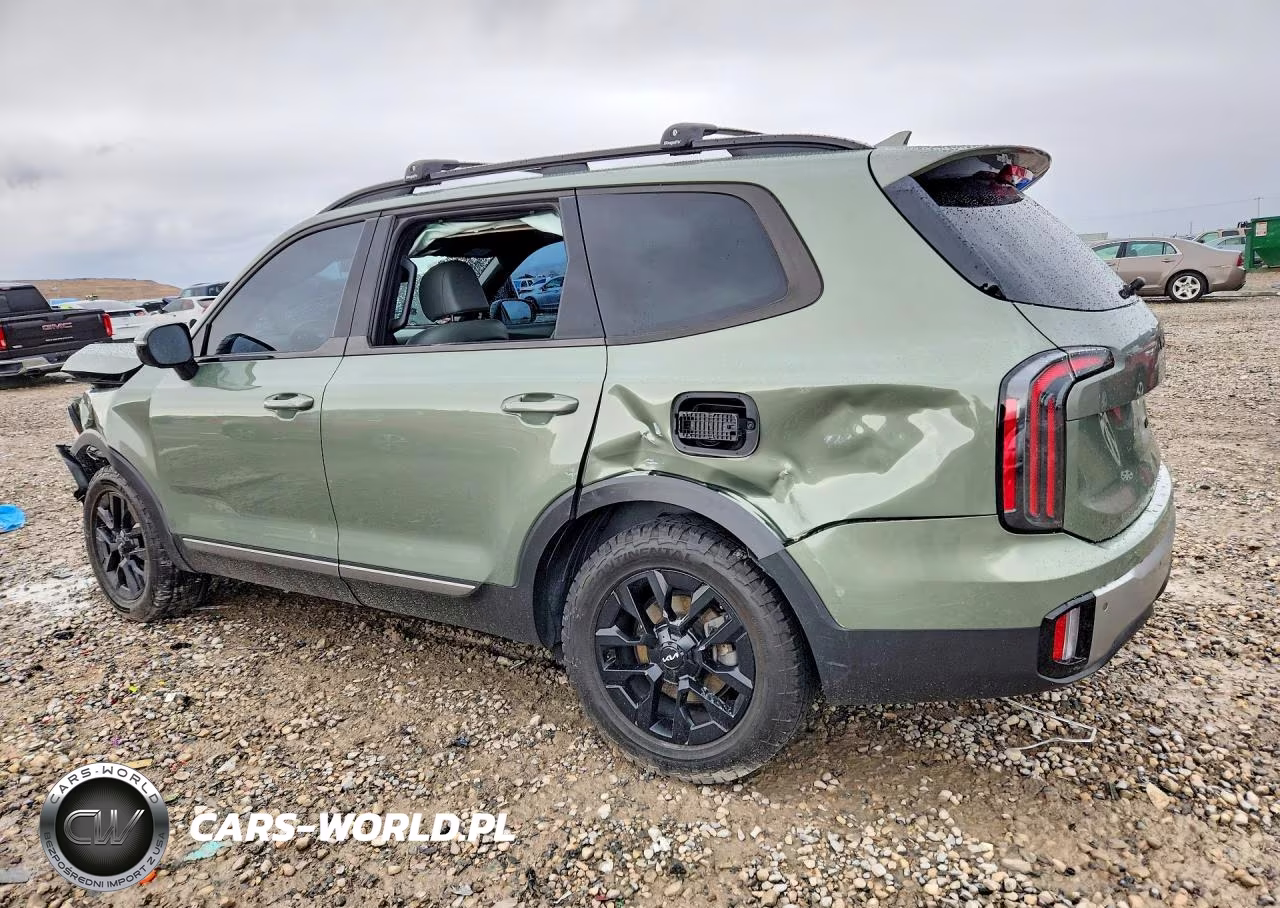 2023 Kia Telluride Sx X-Pro VIN:5XYP5DGC4PG379998 - 2