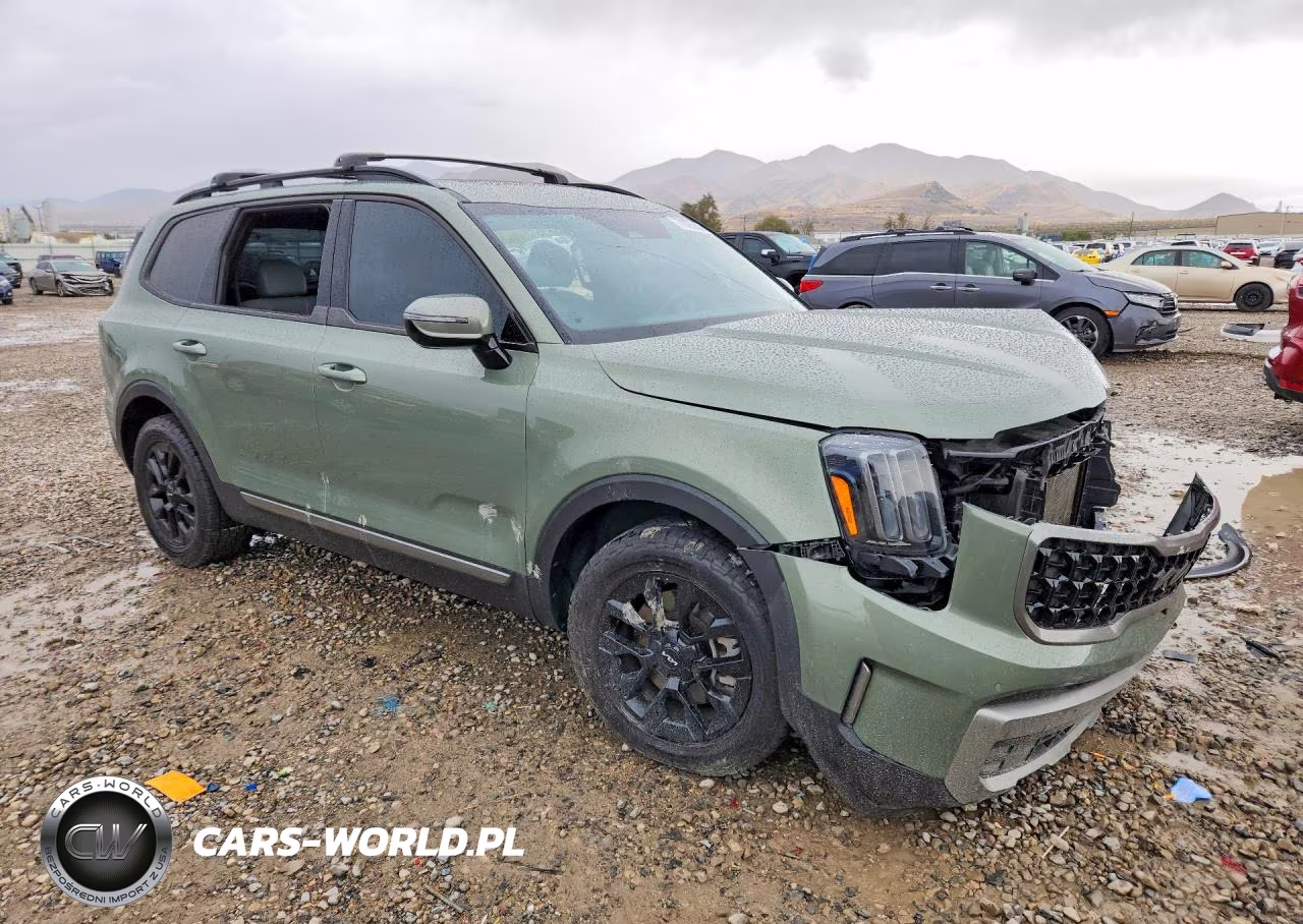 2023 Kia Telluride Sx X-Pro VIN:5XYP5DGC4PG379998 - 4