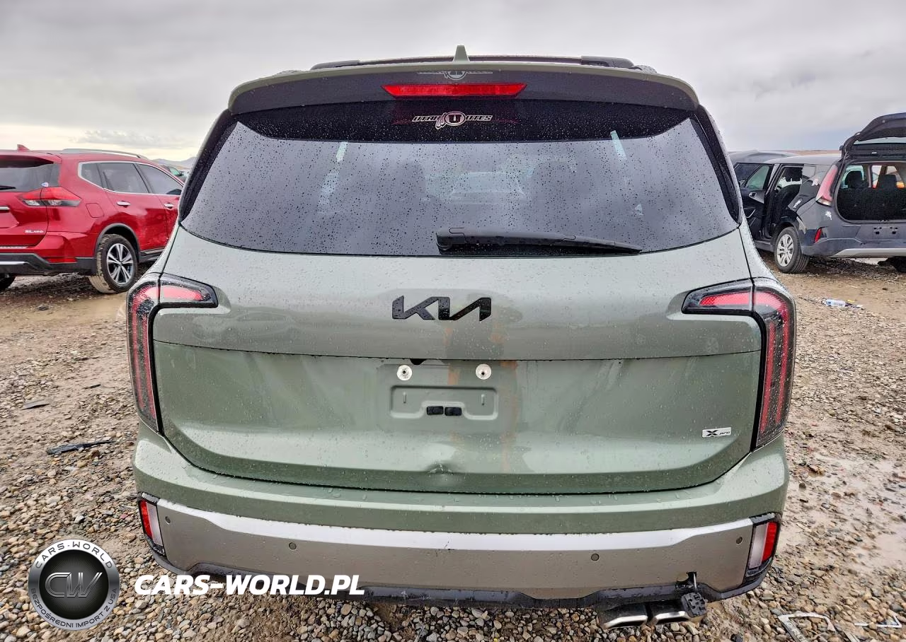 2023 Kia Telluride Sx X-Pro VIN:5XYP5DGC4PG379998 - 6