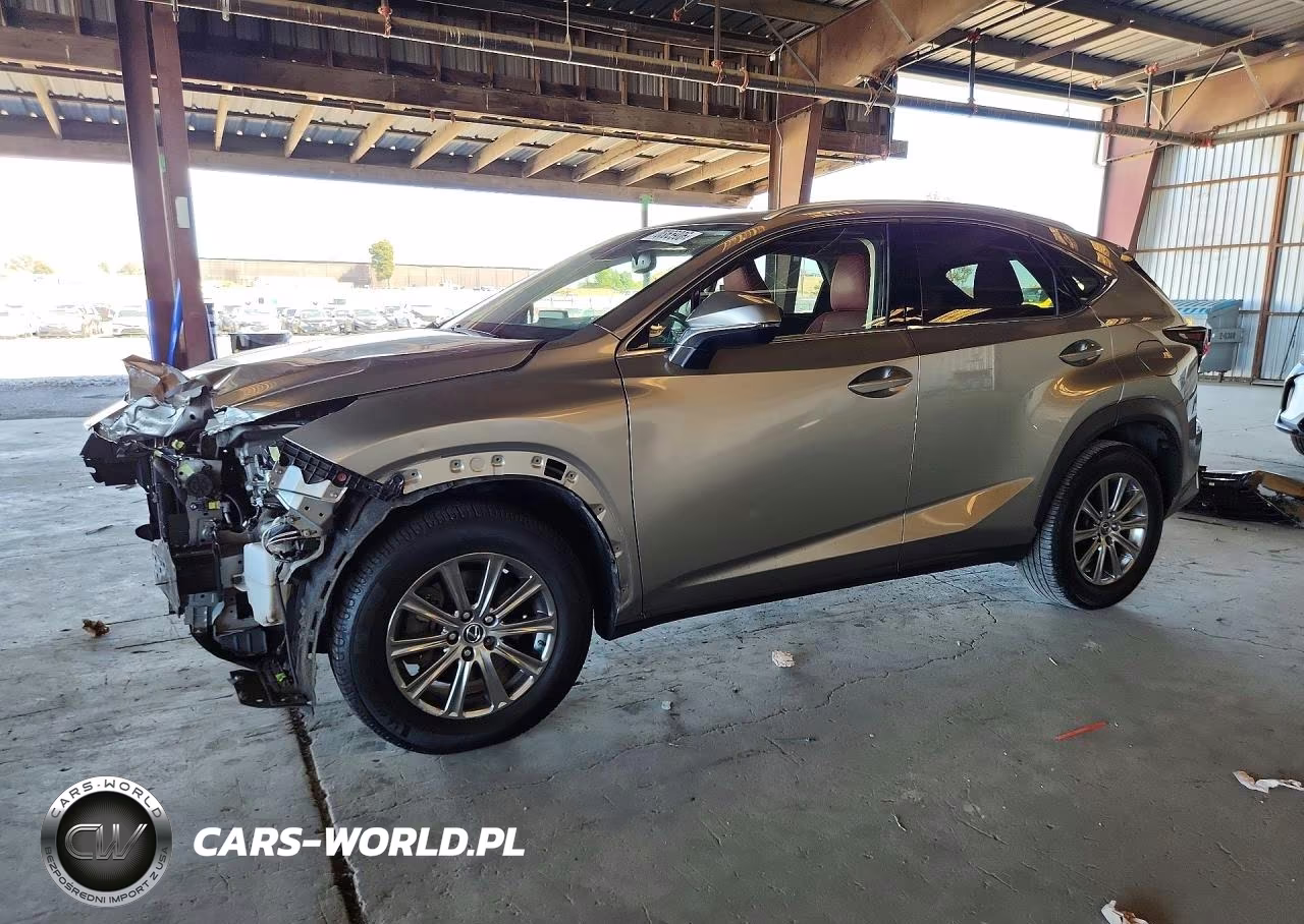2020 Lexus Nx 300H VIN:JTJDJRDZ7L2134232 - 1