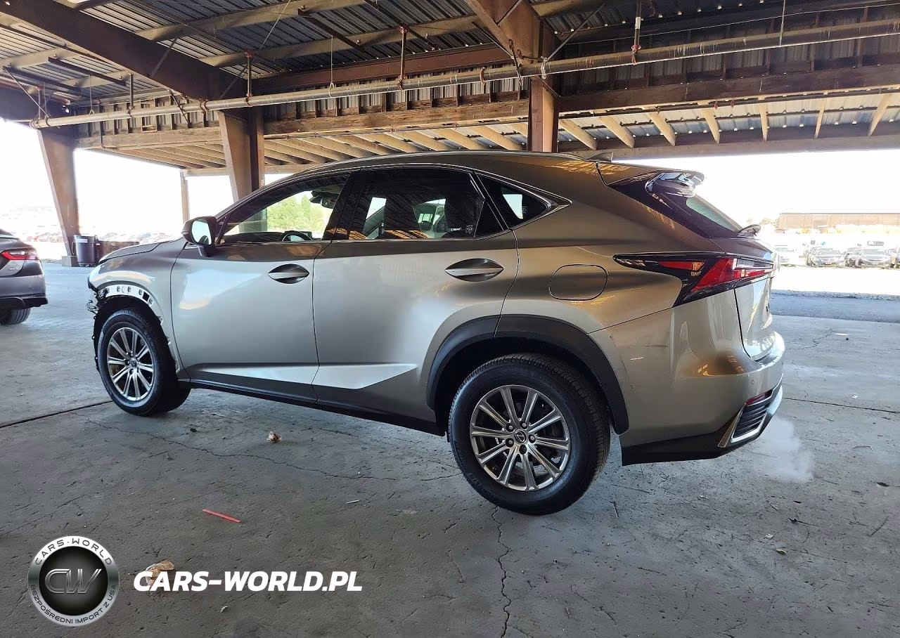 2020 Lexus Nx 300H VIN:JTJDJRDZ7L2134232 - 2